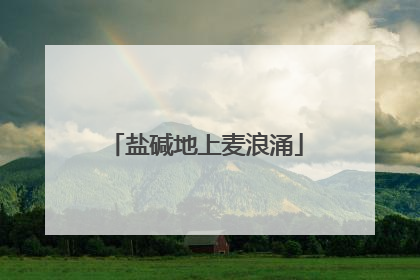 盐碱地上麦浪涌
