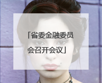 省委金融委员会召开会议