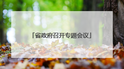 省政府召开专题会议