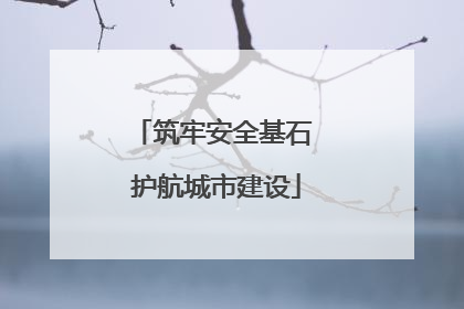 筑牢安全基石 护航城市建设