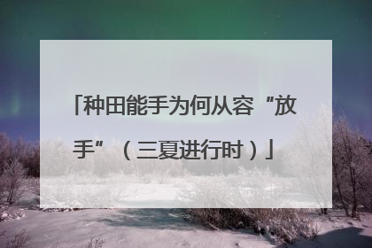 种田能手为何从容“放手”（三夏进行时）