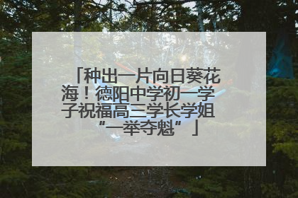 种出一片向日葵花海！德阳中学初一学子祝福高三学长学姐“一举夺魁”