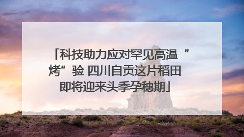 科技助力应对罕见高温“烤”验 四川自贡这片稻田即将迎来头季孕穗期