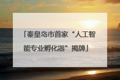 秦皇岛市首家“人工智能专业孵化器”揭牌