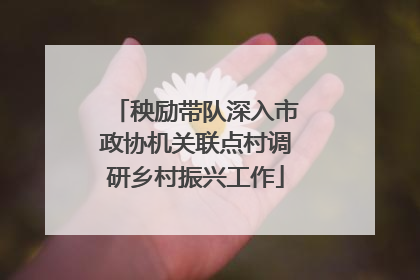 秧励带队深入市政协机关联点村调研乡村振兴工作
