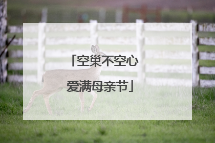 空巢不空心 爱满母亲节