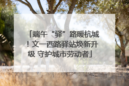 端午“驿”路暖杭城！文一西路驿站焕新升级 守护城市劳动者