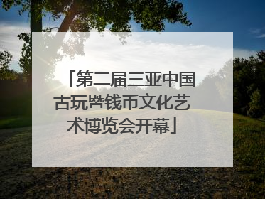 第二届三亚中国古玩暨钱币文化艺术博览会开幕