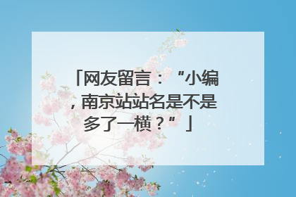 网友留言：“小编，南京站站名是不是多了一横？”