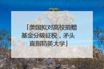 美国拟对高校捐赠基金分级征税，矛头直指精英大学