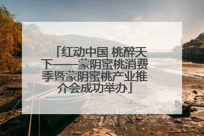 红动中国 桃醉天下——蒙阴蜜桃消费季暨蒙阴蜜桃产业推介会成功举办