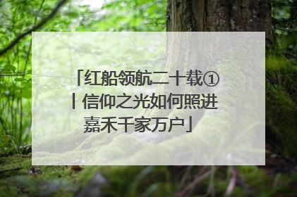 红船领航二十载①丨信仰之光如何照进嘉禾千家万户