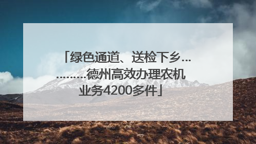 绿色通道、送检下乡…………德州高效办理农机业务4200多件