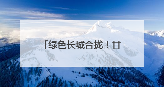 绿色长城合拢！甘肃民勤380公里锁边林带缚住沙海