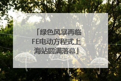 绿色风暴再临 FE电动方程式上海站圆满落幕