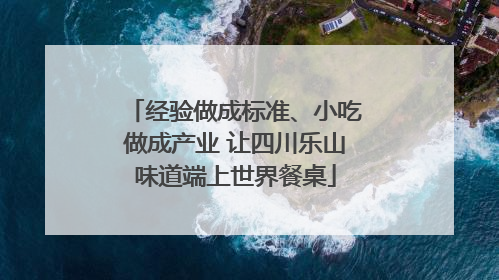 经验做成标准、小吃做成产业 让四川乐山味道端上世界餐桌