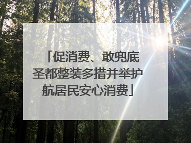 促消费、敢兜底 圣都整装多措并举护航居民安心消费