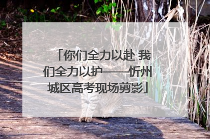 你们全力以赴 我们全力以护——忻州城区高考现场剪影