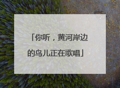 你听，黄河岸边的鸟儿正在歌唱