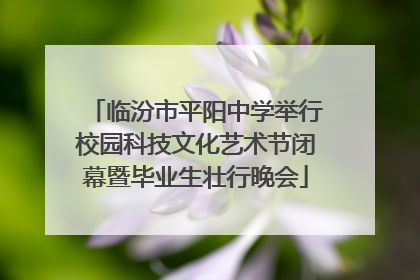临汾市平阳中学举行校园科技文化艺术节闭幕暨毕业生壮行晚会