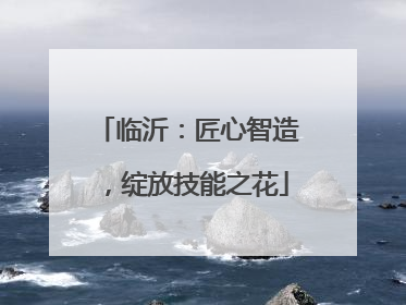 临沂：匠心智造，绽放技能之花