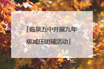 临泉五中开展九年级减压团辅活动