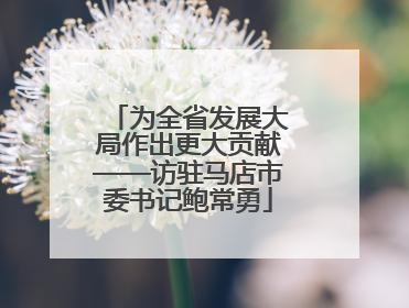 为全省发展大局作出更大贡献——访驻马店市委书记鲍常勇