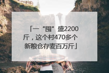 一“囤”盛2200斤，这个村470多个新粮仓存麦百万斤