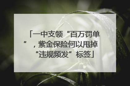 一中支领“百万罚单”，紫金保险何以甩掉“违规频发”标签