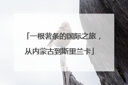 一根薯条的国际之旅，从内蒙古到斯里兰卡