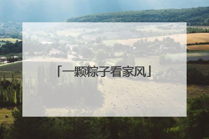 一颗粽子看家风