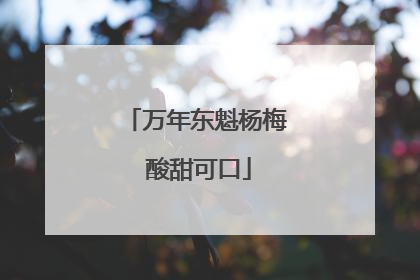 万年东魁杨梅 酸甜可口