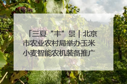 三夏“丰”景｜北京市农业农村局举办玉米小麦智能农机装备推广“田间日”活动
