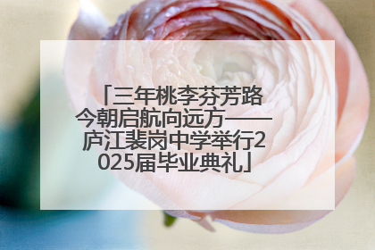 三年桃李芬芳路 今朝启航向远方——庐江裴岗中学举行2025届毕业典礼