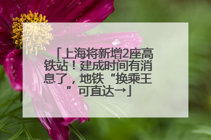 上海将新增2座高铁站！建成时间有消息了，地铁“换乘王”可直达→