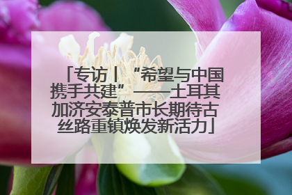 专访丨“希望与中国携手共建”——土耳其加济安泰普市长期待古丝路重镇焕发新活力