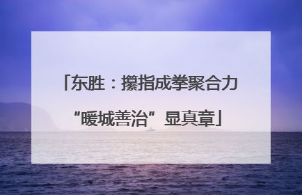 东胜：攥指成拳聚合力 “暖城善治”显真章