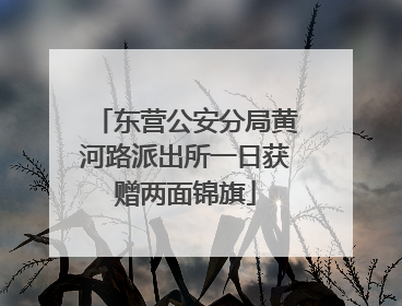 东营公安分局黄河路派出所一日获赠两面锦旗