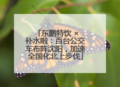 东鹏特饮 × 补水啦：百台公交车布阵沈阳，加速全国化北上步伐