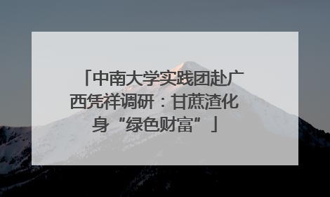 中南大学实践团赴广西凭祥调研：甘蔗渣化身“绿色财富”