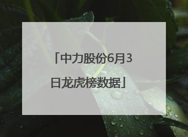 中力股份6月3日龙虎榜数据