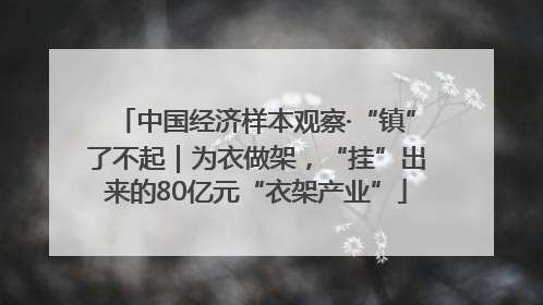 中国经济样本观察·“镇”了不起｜为衣做架，“挂”出来的80亿元“衣架产业”