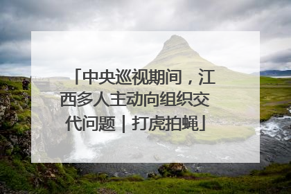 中央巡视期间，江西多人主动向组织交代问题｜打虎拍蝇