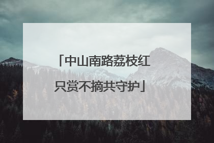 中山南路荔枝红 只赏不摘共守护