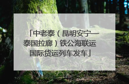 中老泰（昆明安宁—泰国拉廊）铁公海联运国际货运列车发车