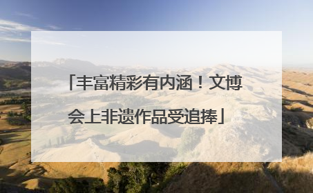 丰富精彩有内涵!文博会上非遗作品受追捧