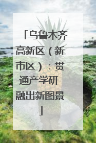 乌鲁木齐高新区（新市区）：贯通产学研 融出新图景