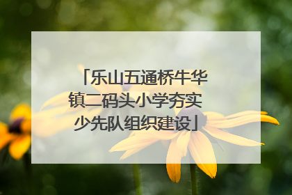 乐山五通桥牛华镇二码头小学夯实少先队组织建设
