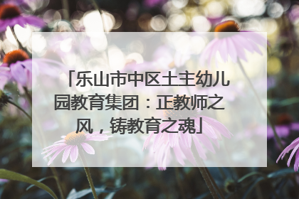 乐山市中区土主幼儿园教育集团：正教师之风，铸教育之魂