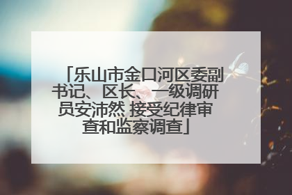 乐山市金口河区委副书记、区长、一级调研员安沛然 接受纪律审查和监察调查